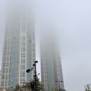 수잔스테이블 | [공지] 시선이 사랑스러운 사람에게는 숨겨진 무지개가 있다