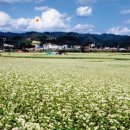 무릉송어장횟집 이미지