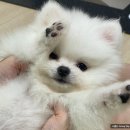 압구정 별밤 원광대직영점 | [세롱블로그] 8월 일상블로그 - 입추, 다가오는 천고마비의 계절