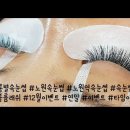 아롱별속눈썹