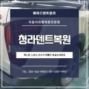 에이스덴트칼라