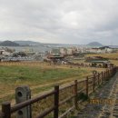 일주동로 이미지