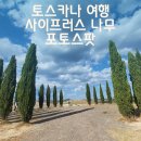 <b>토스카나</b> 사이프러스 당일치기 코스 포토스팟 소개