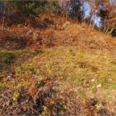 홍천군화촌면구성포보건진료소 이미지