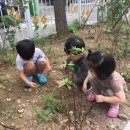 사우촌공원 Daum카페