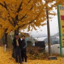 벌말농원 이미지