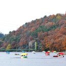 더힐링카페 이미지