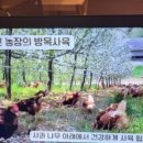 트라웰 좌동점
