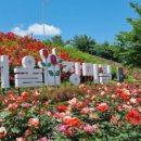 중화문학도서관 이미지