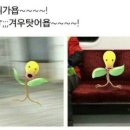 공주상회 이미지