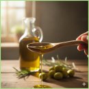 올리브독 이미지