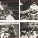 다수초 이미지