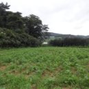 도곡리경로당 이미지