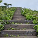 표선면-7 이미지