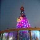 아무르모텔 | 8월 수도권 동물원·수족관 기행 8 (에버랜드 3)