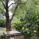 인디언썸머 | 제주도 서귀포숙소 추천:: 인디언썸머 숙박후기!