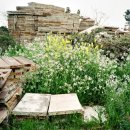 일과1리 이미지