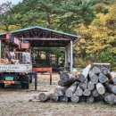 강림면342 이미지