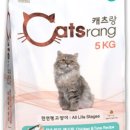 멍멍스타 이미지