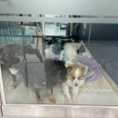 참좋은 메디칼 이미지