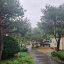 군불로관광농원 이미지