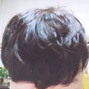 미러클헤어 티스토리