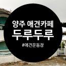 양주 애견운동장 있는 양주 애견카페 두루두루 방문 후기
