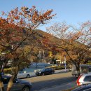 부곡온천관광특구 이미지