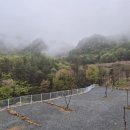 별밤차박캠핑장 이미지