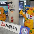 씨유 제주명월점 | 제주여행 초저렴했던 아리랑렌트카 내돈내산