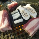 제일중 | [공지] 포토덤프 챌린지-1