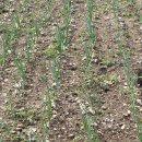 강진산들농원 이미지