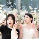 290 | 대전 본식 스냅 ‘ 290스냅 ’ 촬영 후기🫶🏻