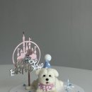 댕콤달콤 이미지