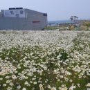 마실길 입구 주차장 이미지