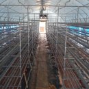 대흥농장2 이미지