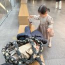수며들다. 수어플룸 페드라 사랑…🤎
