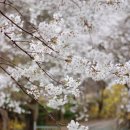 그린승마랜드 이미지