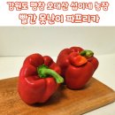 [야채스토어 추천]강원도 오대산 평창 못난이 파프리카 후기 빨간 파프리카 효능