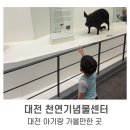 유등로 | 대전 아기랑 가볼 만한 곳ㅣ대전 실내 무료전시 아이랑 다녀온 후기 '대전 천연기념물센터'
