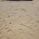 덕원해수욕장 | 거제 '덕원해수욕장' 모래놀이 후기