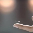 아이러브안경콘텍트렌즈 이미지