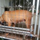 우리오토 이미지