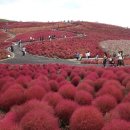 예초키즈클럽어린이집 이미지