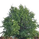 옥대3리 이미지