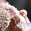순창내고향식품