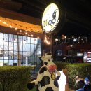 무(MOO)