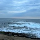 속초수산 - 중구 하늘중앙로195번길 14 | 속초수산