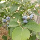 한라농장 이미지