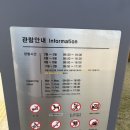 세종대왕역사문화관 이미지